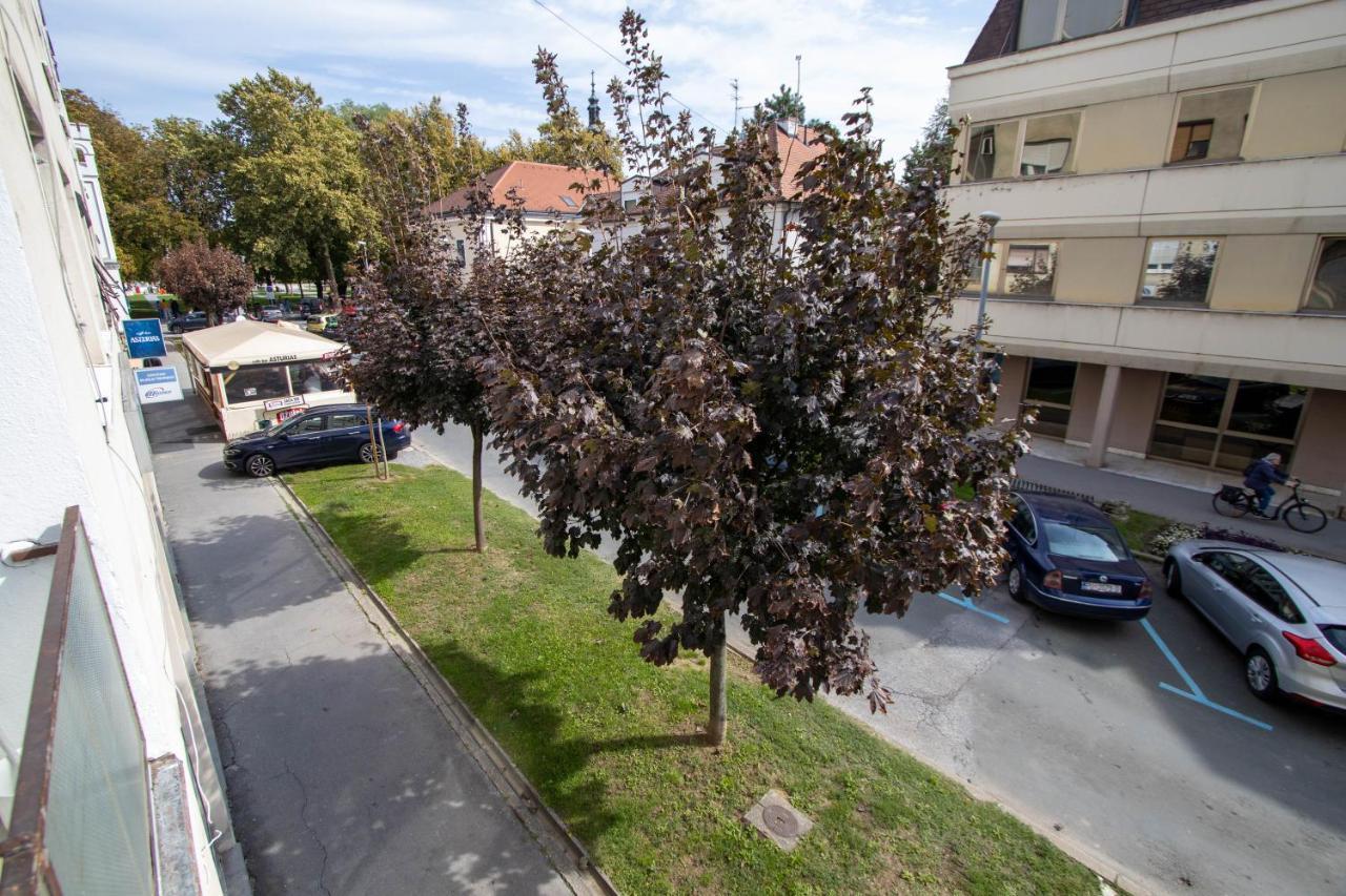 Apartment Ig4U, City Center Bjelovar Eksteriør bilde
